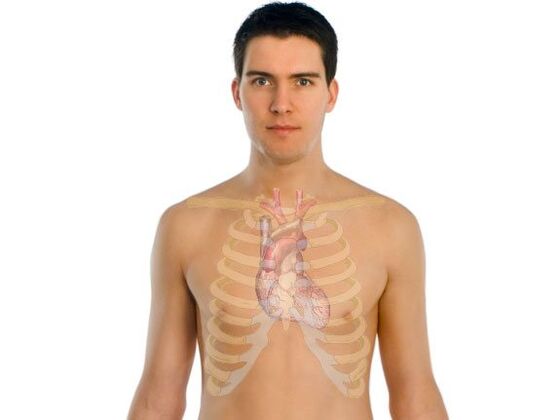 hoe parasieten menselijke organen beïnvloeden