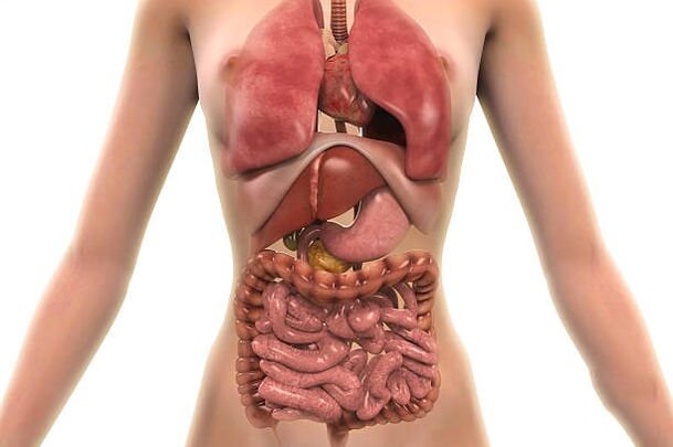 parasieten in het menselijk lichaam
